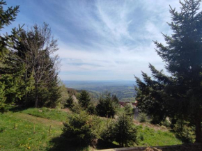 apartma Pohorc - Praprot Hočko Pohorje
